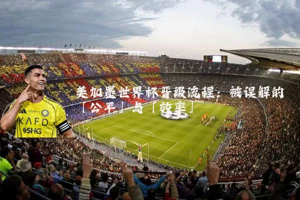 美加墨世界杯晋级流程:被误解的「公平」与「效率」